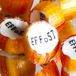 EFFoST logo snoep